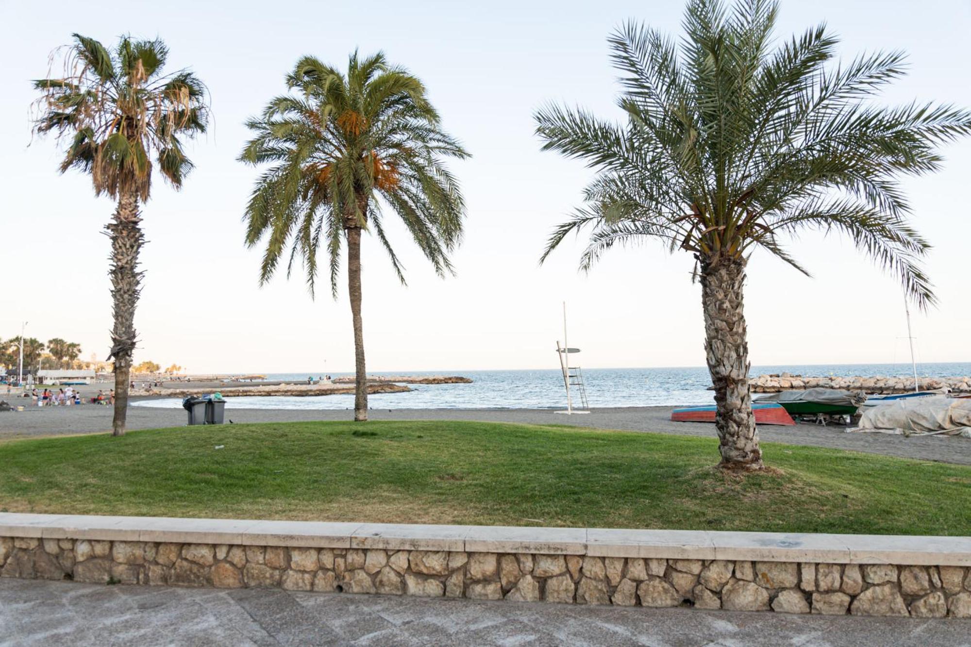 Premium With Terrace Lejlighed